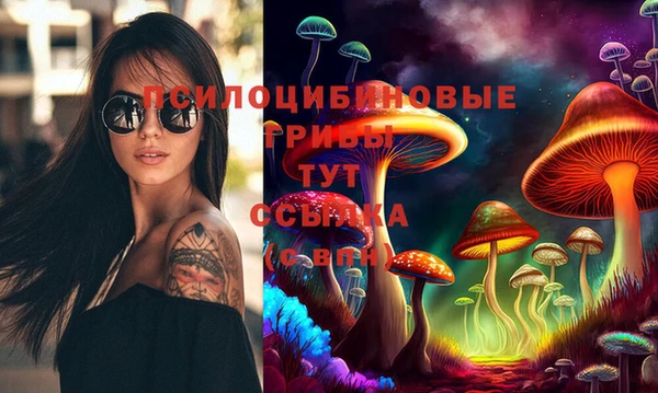 индика Алексин