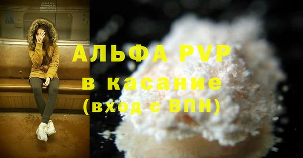индика Алексин