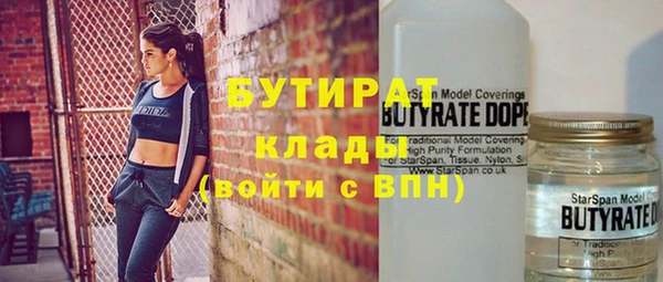 индика Алексин