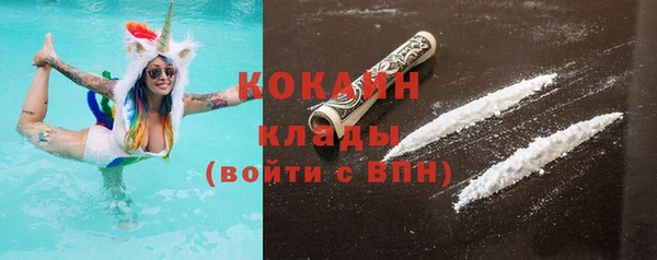индика Алексин